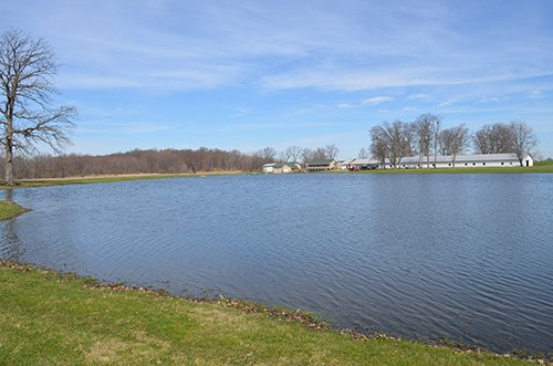 Property photo 87 - REAL ESTATE & PERSONAL PROPERTY AUCTION, 140 Acres offered in 8 Tracts or Combinations in Steuben County